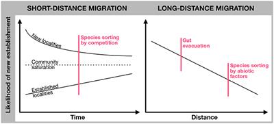 Zooplankton Diversity and Dispersal by Birds; Insights From Different Geographical Scales